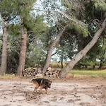 Фермерский дом Masseria Piutri *