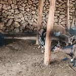 Masseria Piutri Фермерский дом Торкьяроло