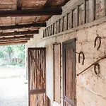 Фермерский дом Masseria Piutri *