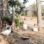 Фермерский дом Masseria Piutri Торкьяроло