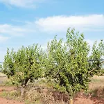 Фермерский дом Masseria Piutri