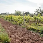 Masseria Piutri Фермерский дом