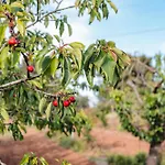 Masseria Piutri Фермерский дом