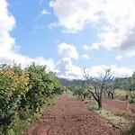 Masseria Piutri Фермерский дом *
