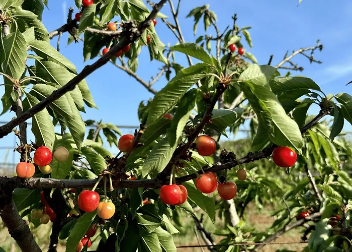 Lantgård Masseria Piutri *