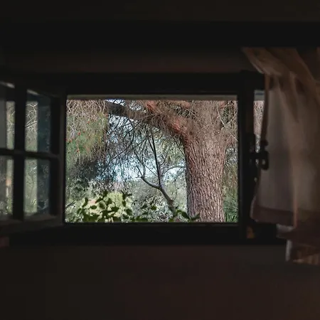 Agroturismo Masseria Piutri Torchiarolo