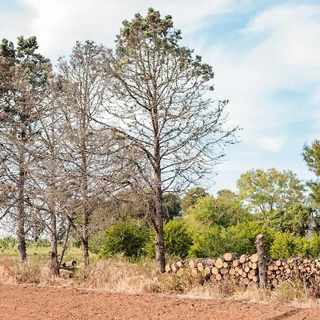 Masseria Piutri