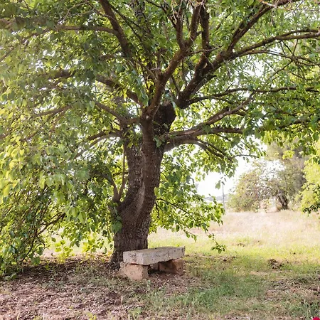 Masseria Piutri Agroturismo *