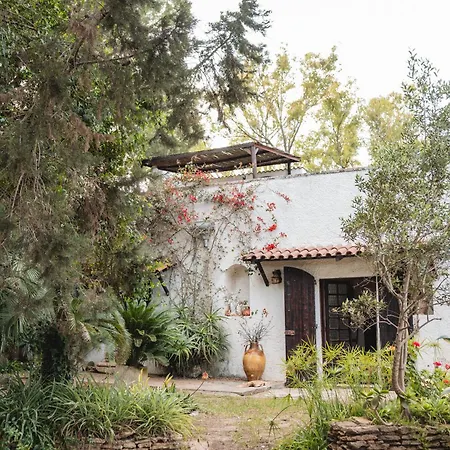 Masseria Piutri Agroturismo Torchiarolo
