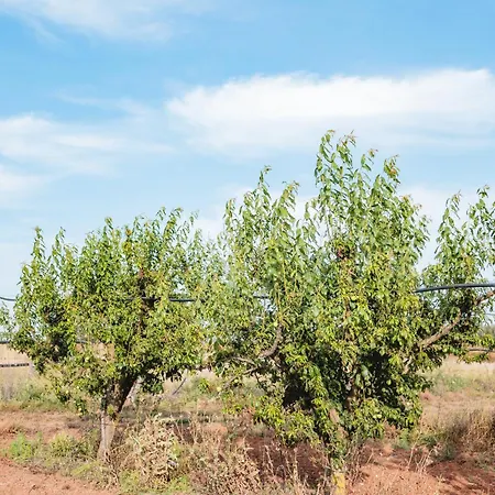 Agroturismo Masseria Piutri