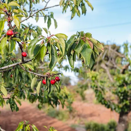 Masseria Piutri Agroturismo