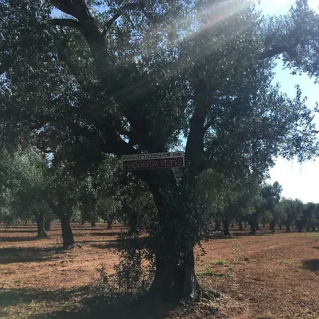 Masseria Piutri Agroturismo