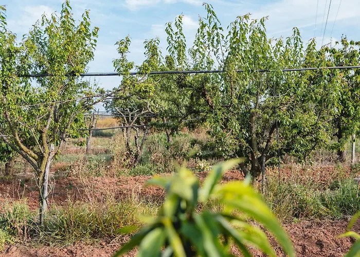 Masseria Piutri *