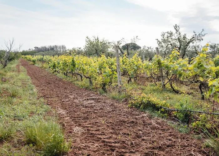 Masseria Piutri Фермерский дом
